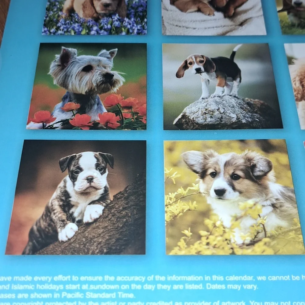 Puppy 2025 calendar/ BUNDLE ONLY 2or more items